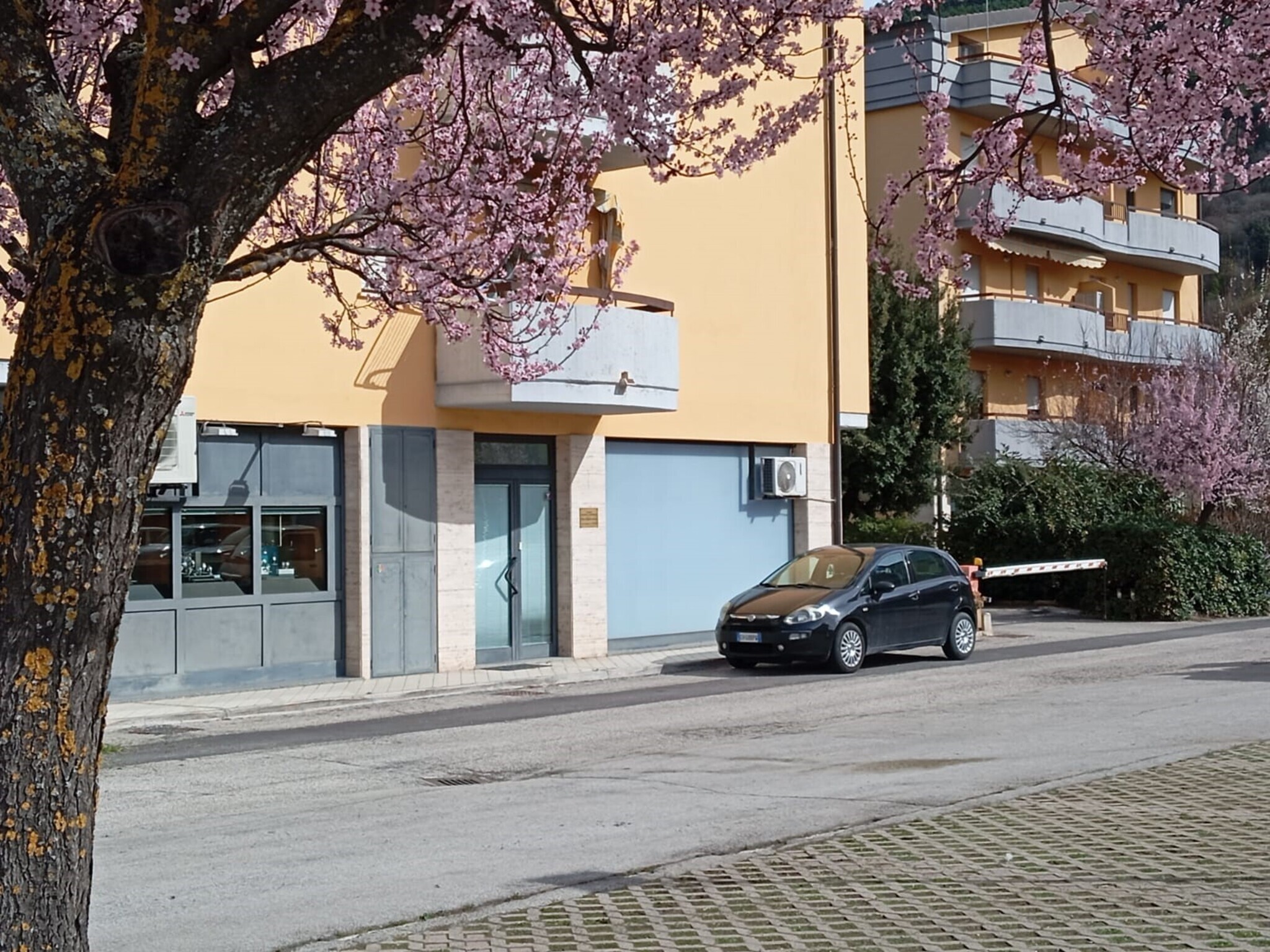 Studio Dott.ssa Raffaellla Antonucci ESTERNO